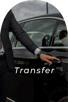 Transfer